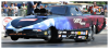 vette.png